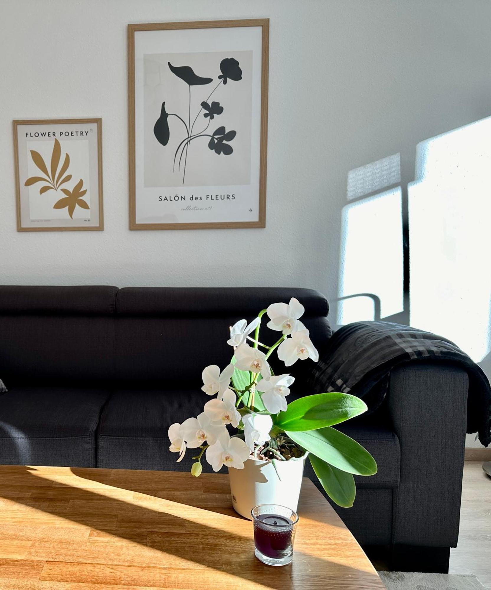 Modernes Zwei-Zimmer-Apartment Chemnitz - Kassberg Exteriör bild