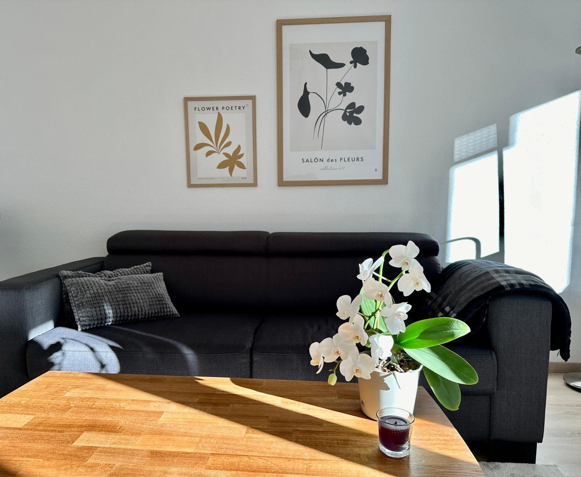 Modernes Zwei-Zimmer-Apartment Chemnitz - Kassberg Exteriör bild